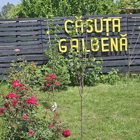 Casuta Galbena Villa Eforie Nord Eksteriør billede