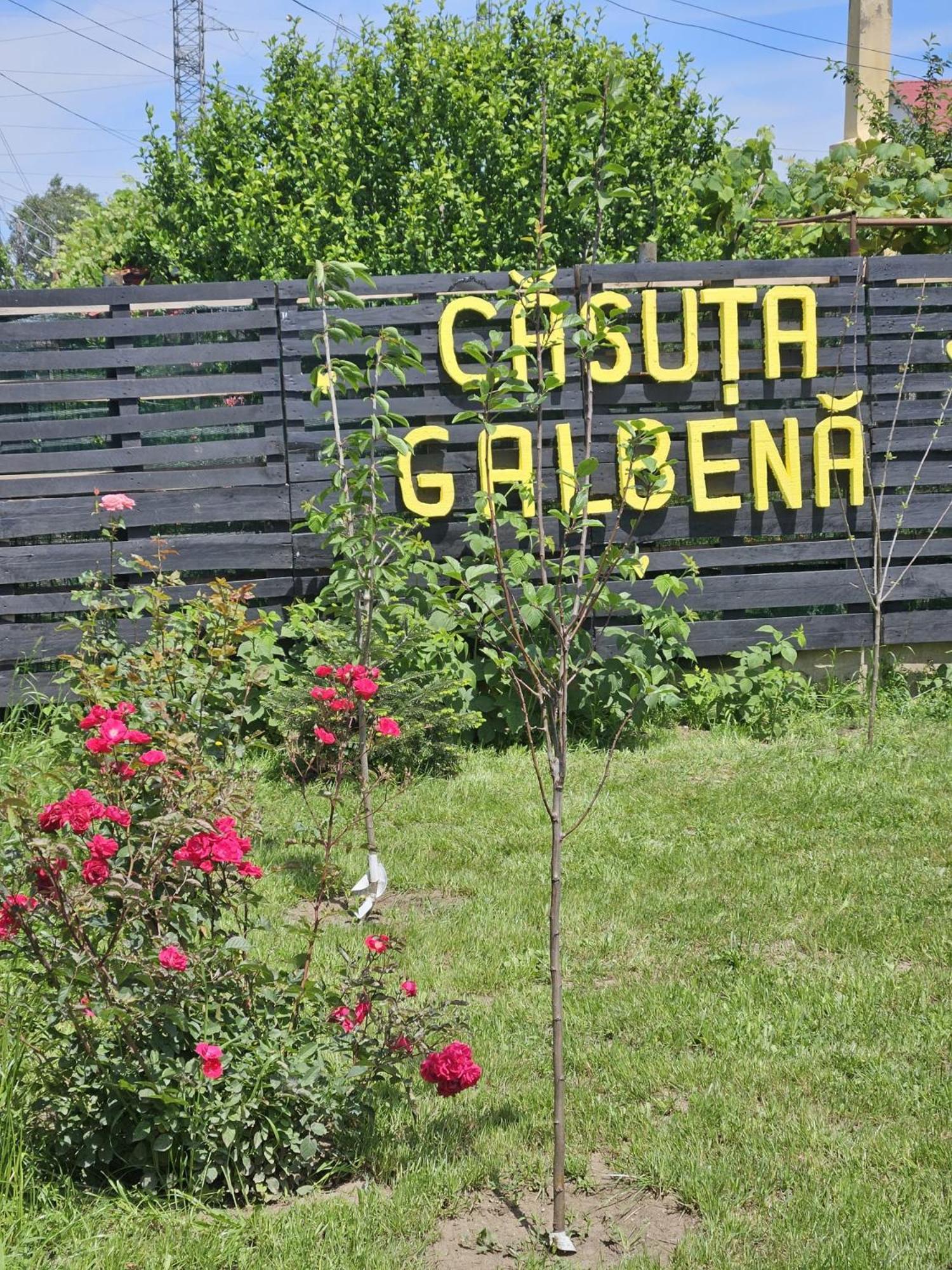 Casuta Galbena Villa Eforie Nord Eksteriør billede